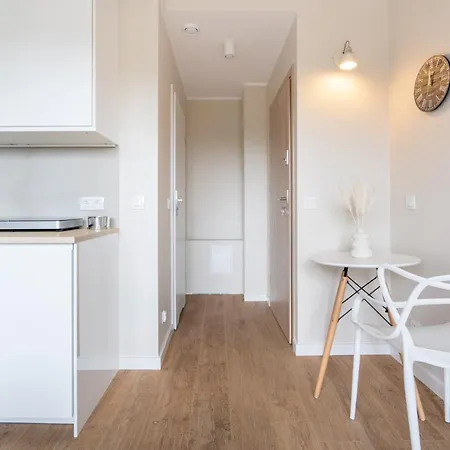 Apartment Brzezno Deluxe