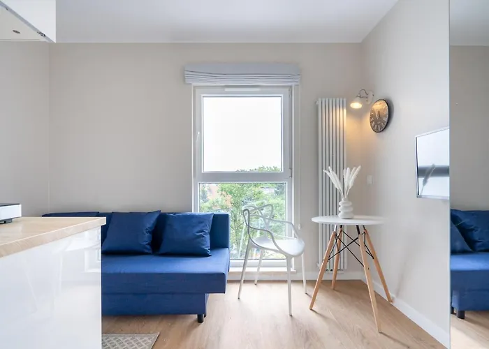 公寓 Brzezno Deluxe 格但斯克